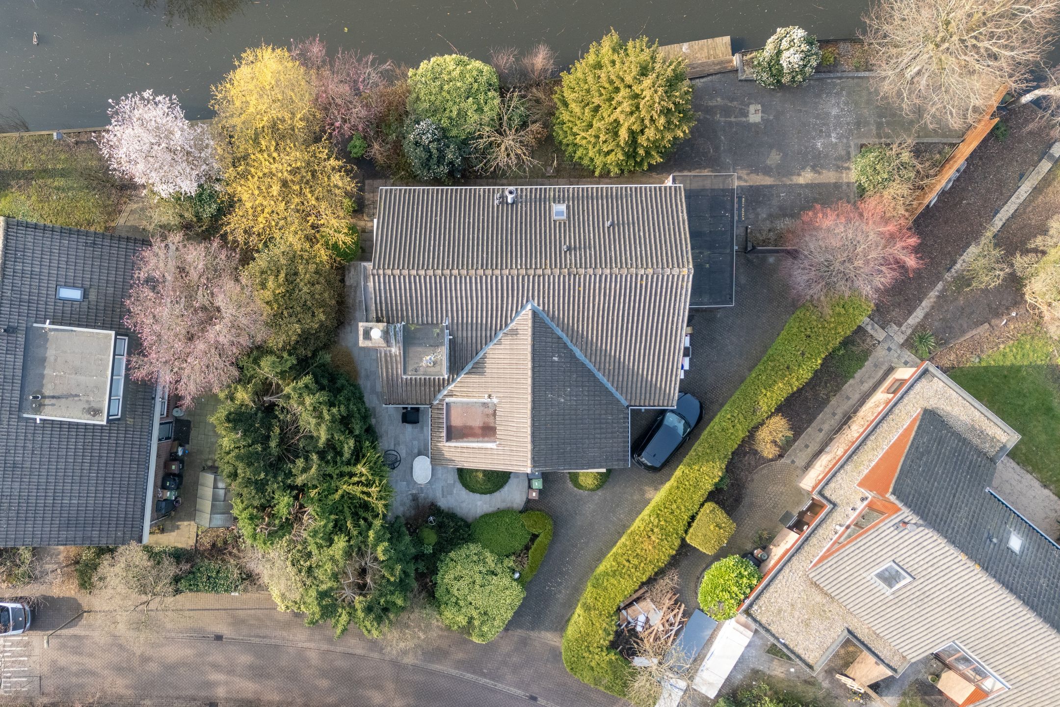 Photo 6 of Moerasvaren 54