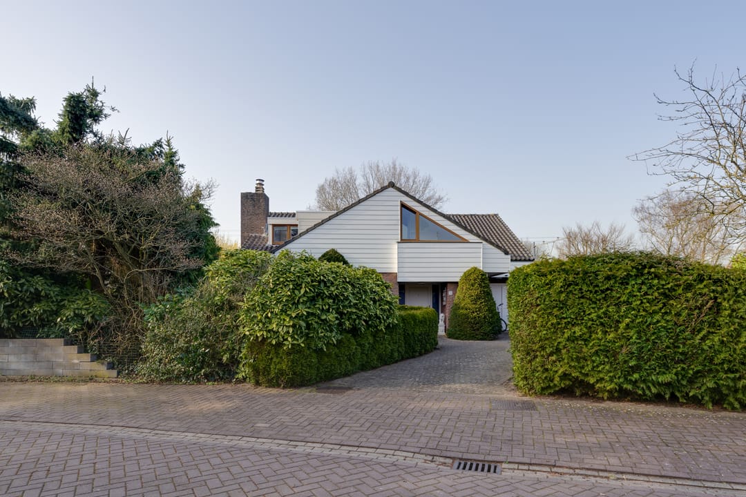 Photo 8 of Moerasvaren 54