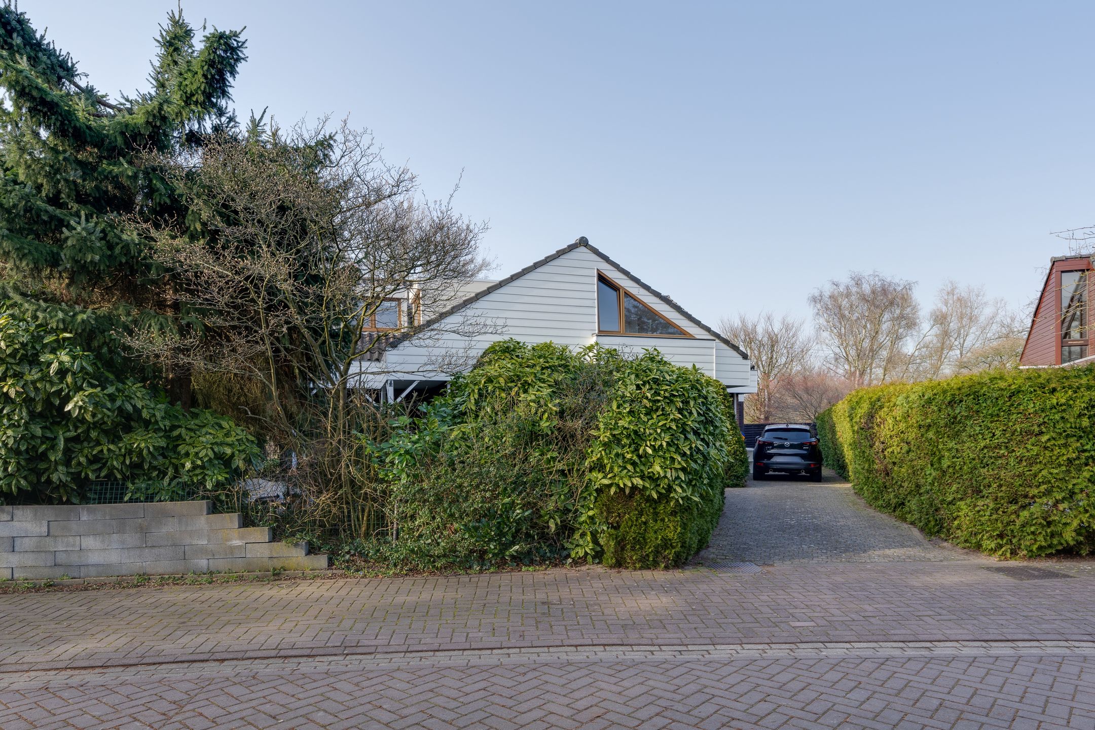 Photo 9 of Moerasvaren 54