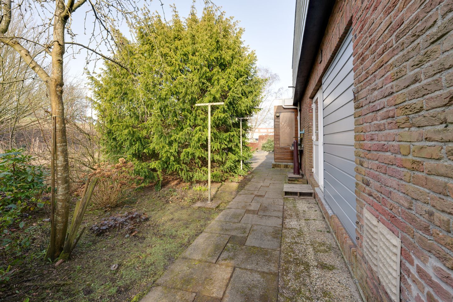 Photo 29 of Moerasvaren 54