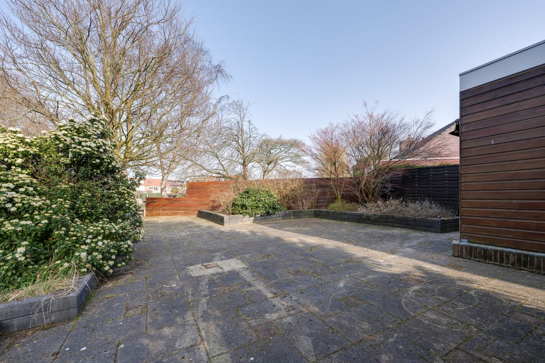 Photo 31 of Moerasvaren 54