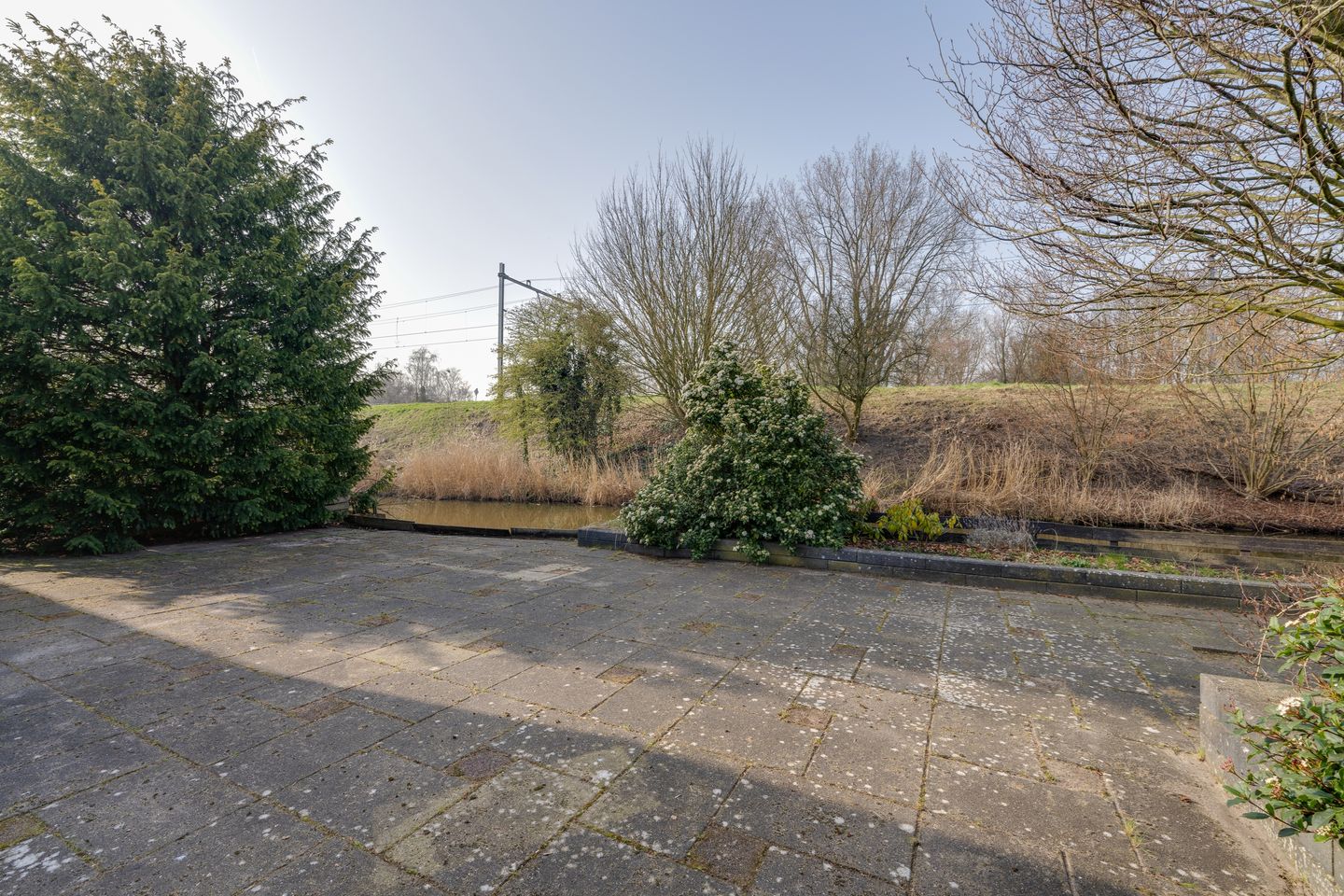 Photo 35 of Moerasvaren 54