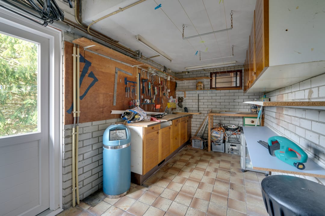 Photo 41 of Moerasvaren 54