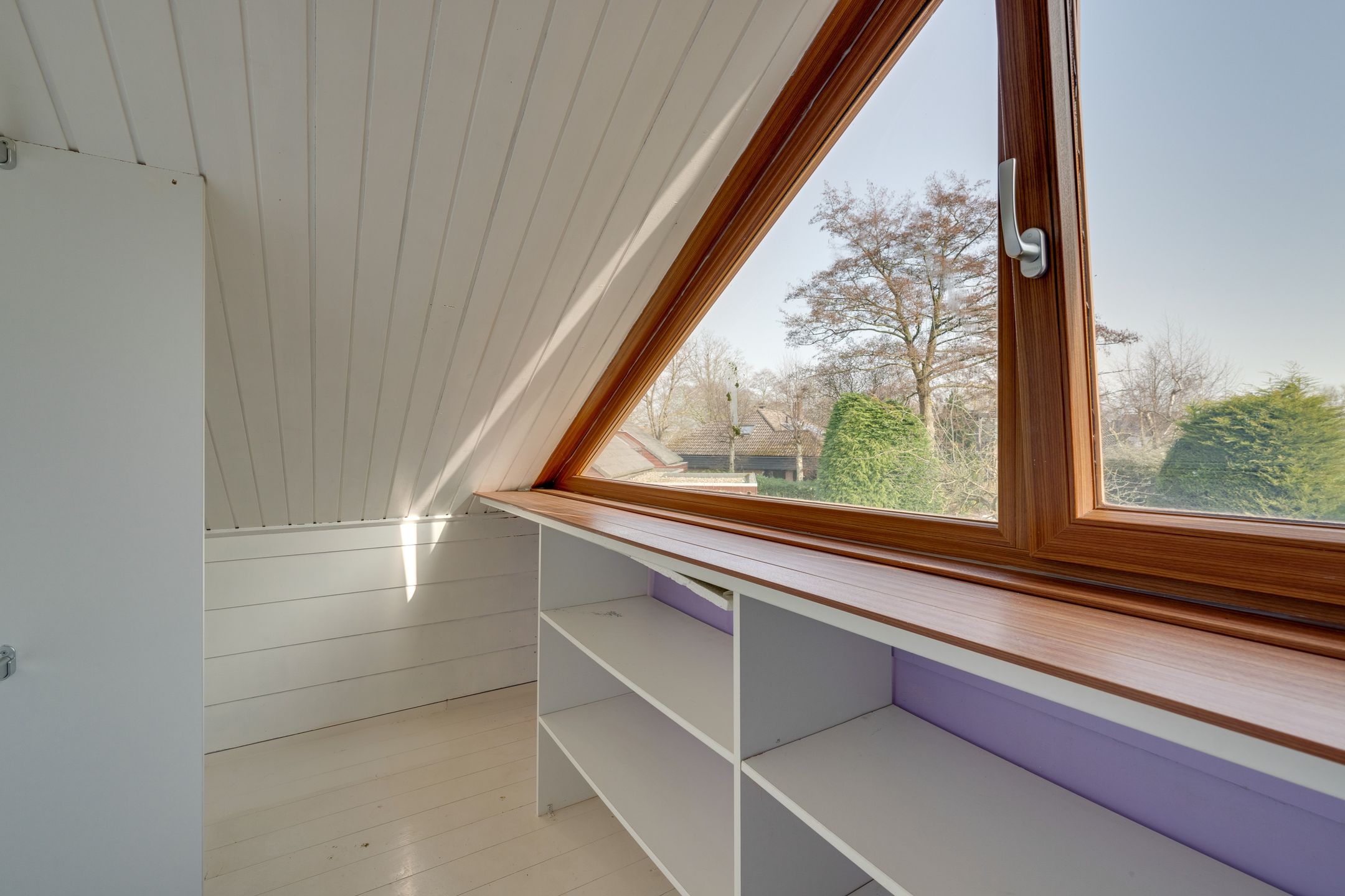 Photo 63 of Moerasvaren 54