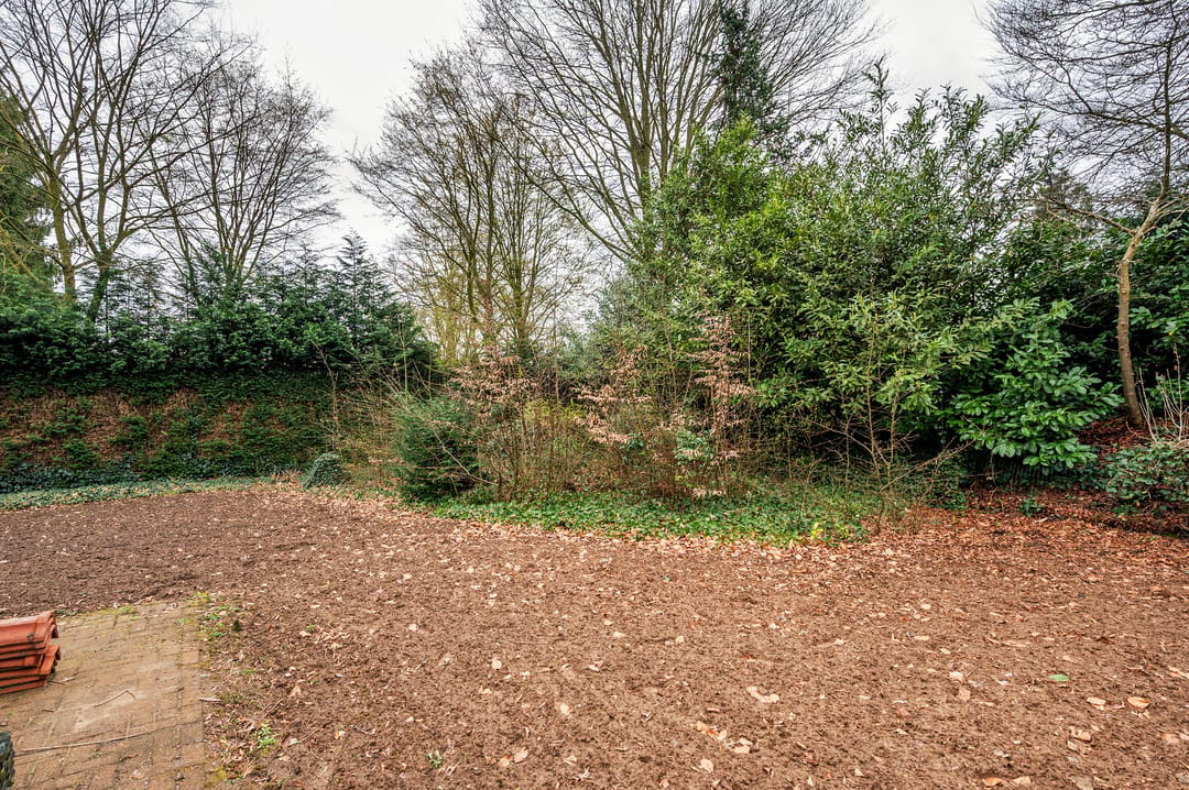 Spacious detached villa with large garden in Meuleveld — 41
