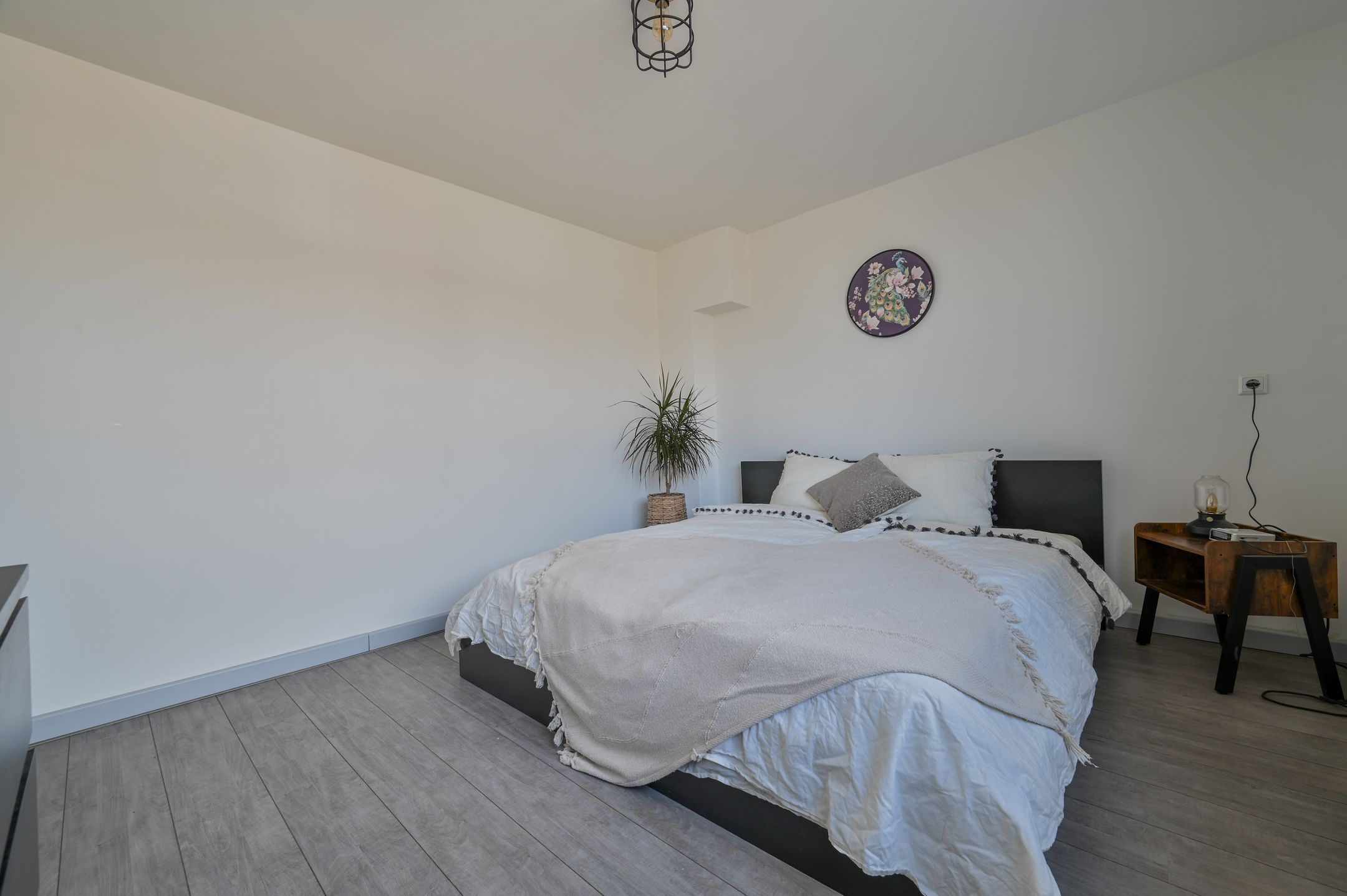 Foto 21 van Burgemeester van Trichtlaan 51