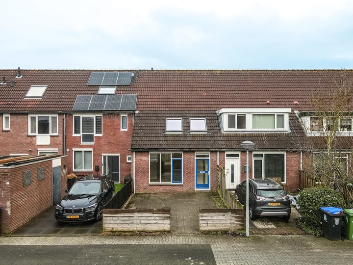 Wogmeer 35 main image