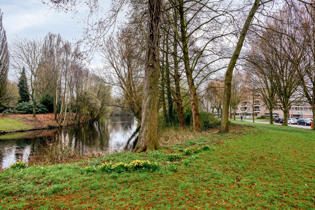Photo 11 of Castorweg 258