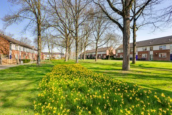 Foto 2 van Repelweg 97