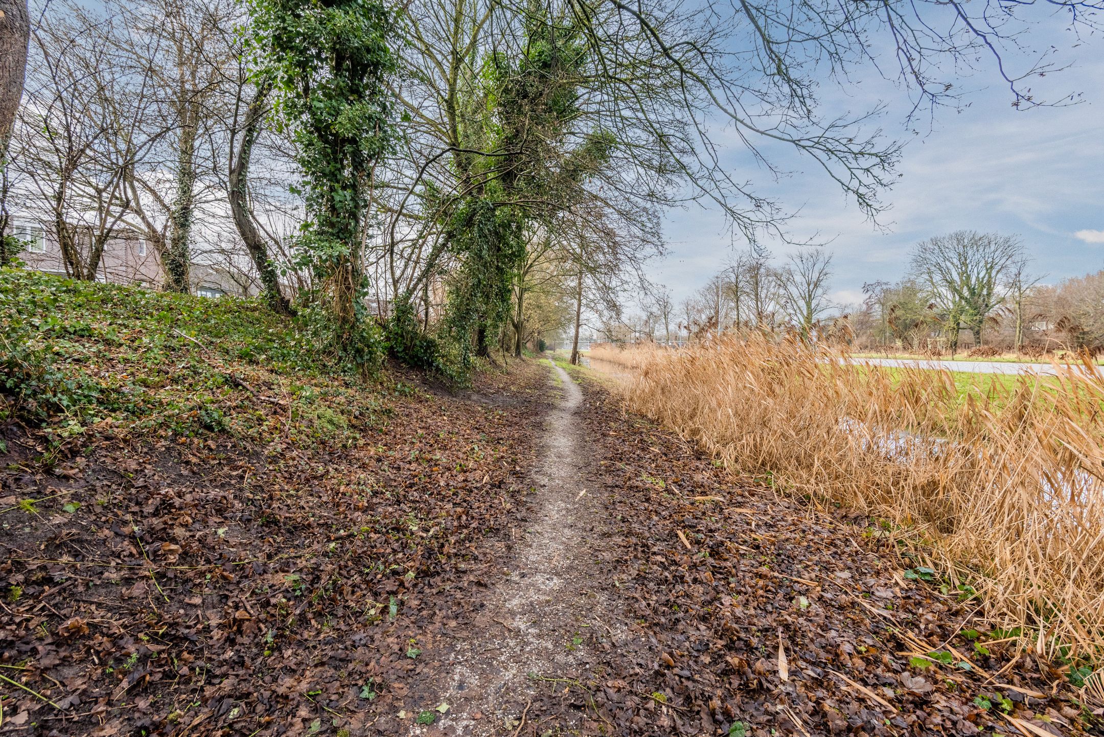 Foto 42 van Rozengaard 15 36