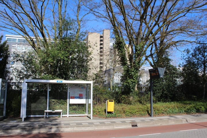 Foto 4 van Michelangelolaan 47