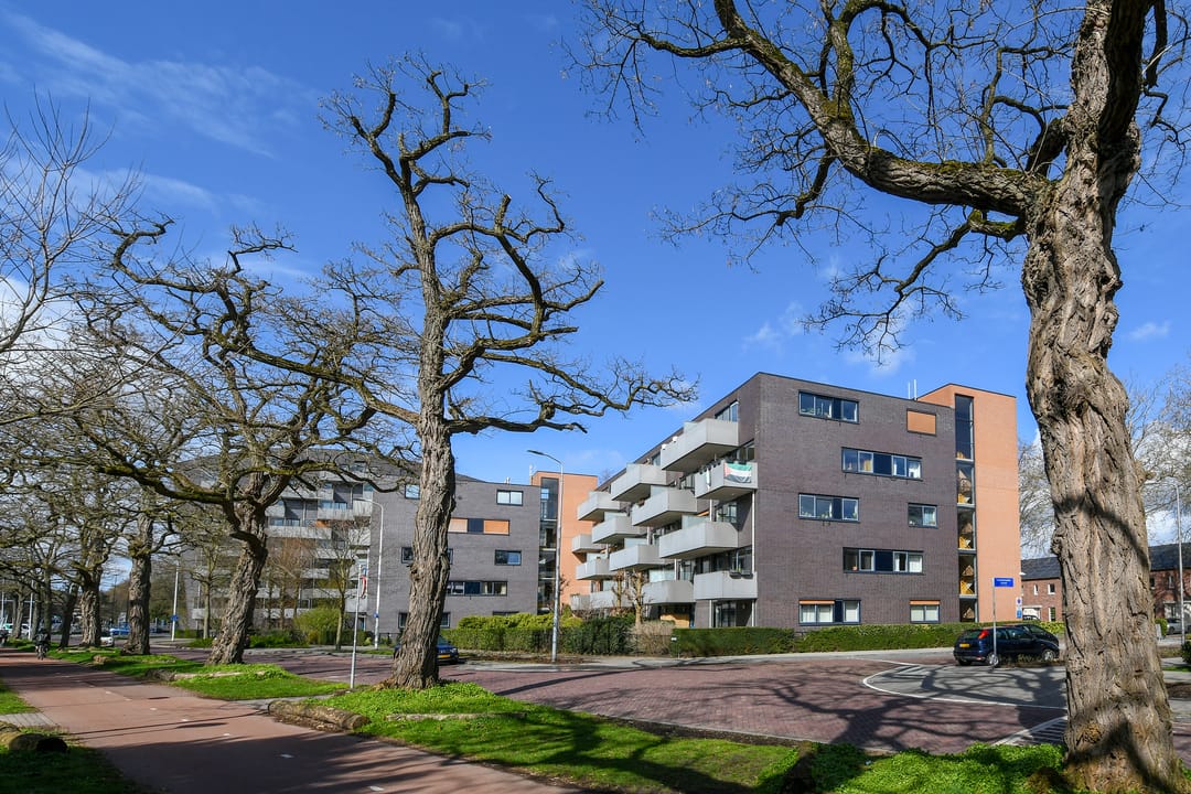 Foto 26 van Leeghwaterstraat 246