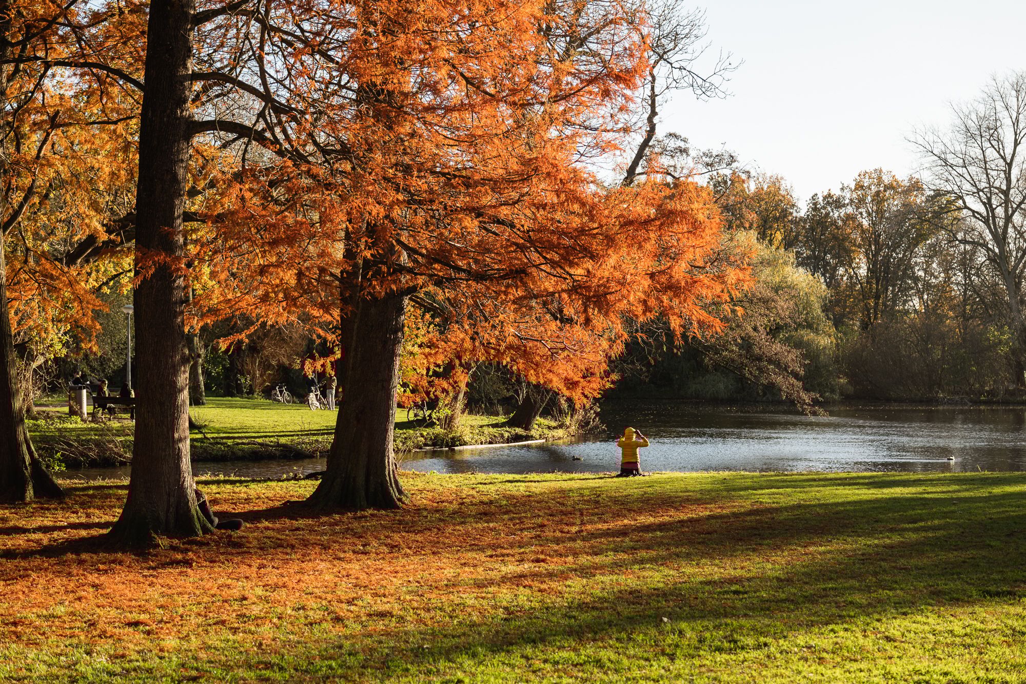 Foto 36 van Johannes Vermeerstraat 20