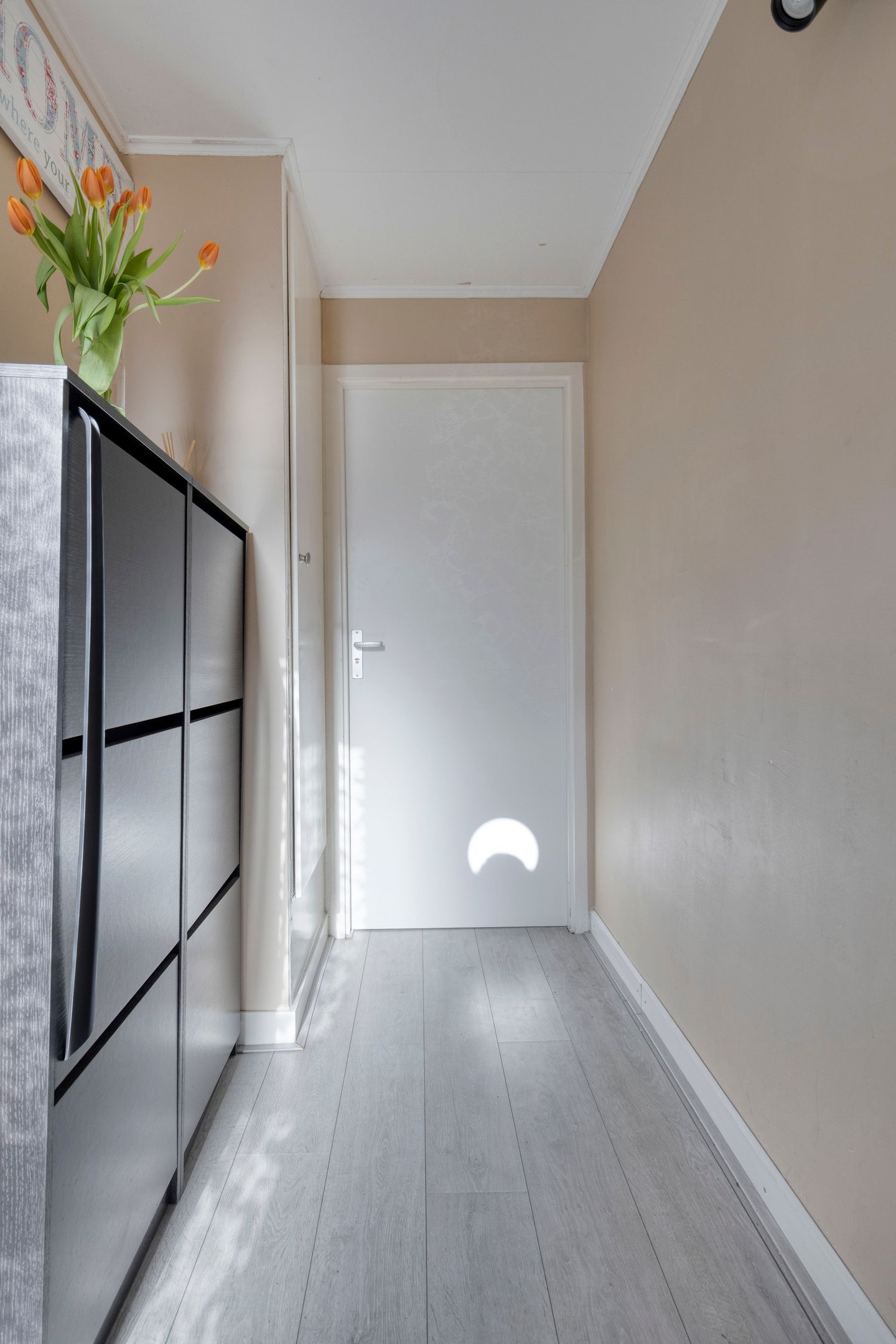 Foto 5 van Obrechtstraat 14