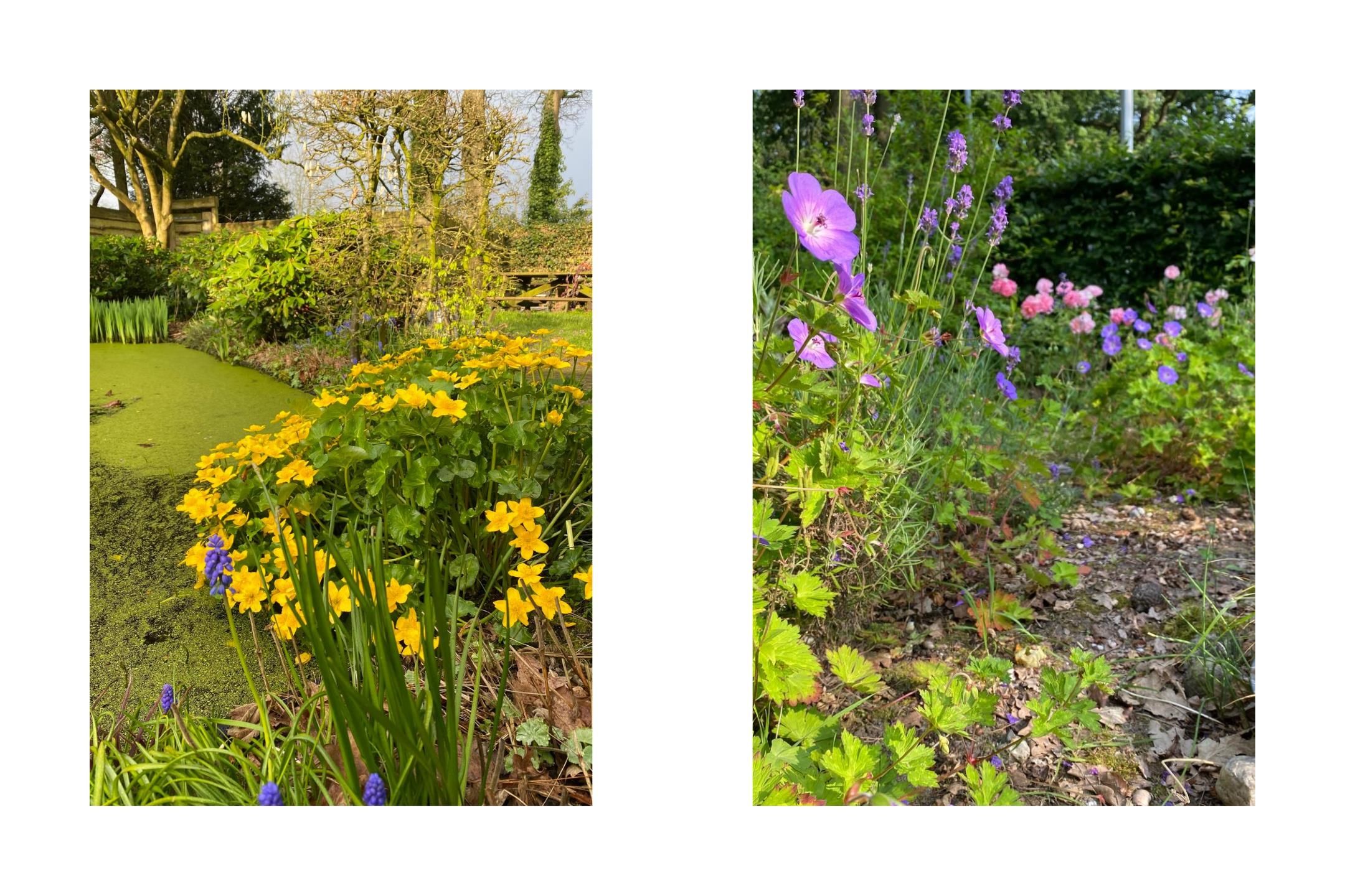 Foto 54 van Eikenlaan 2