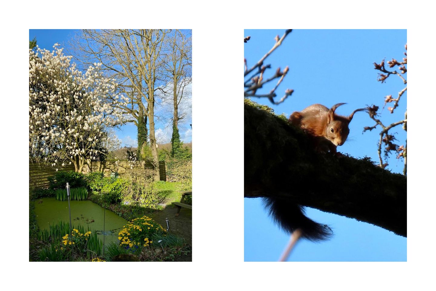 Foto 55 van Eikenlaan 2