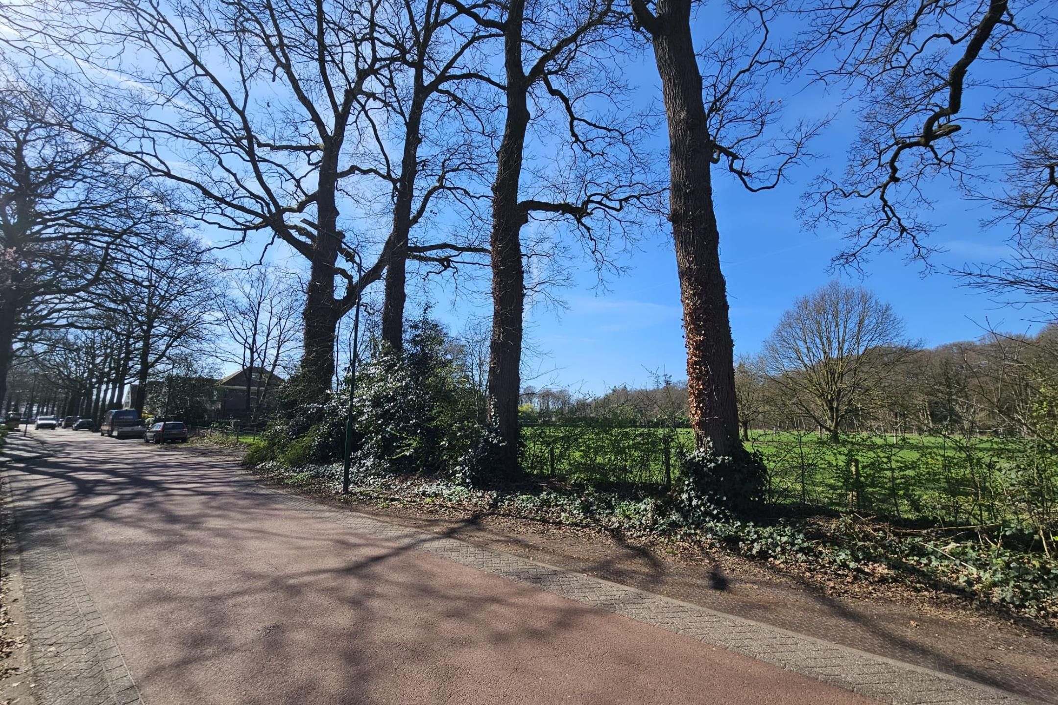 Foto 63 van Eikenlaan 2