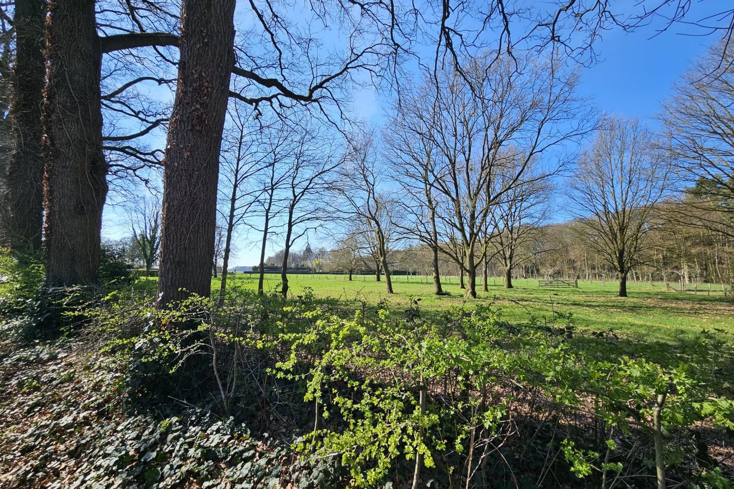 Foto 64 van Eikenlaan 2