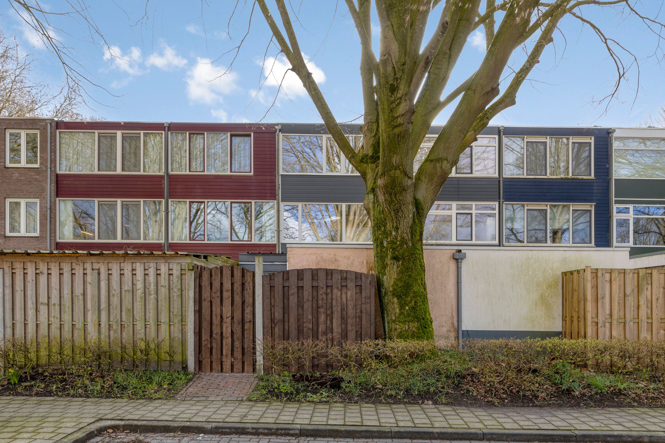 Foto 45 van Obrechtstraat 14