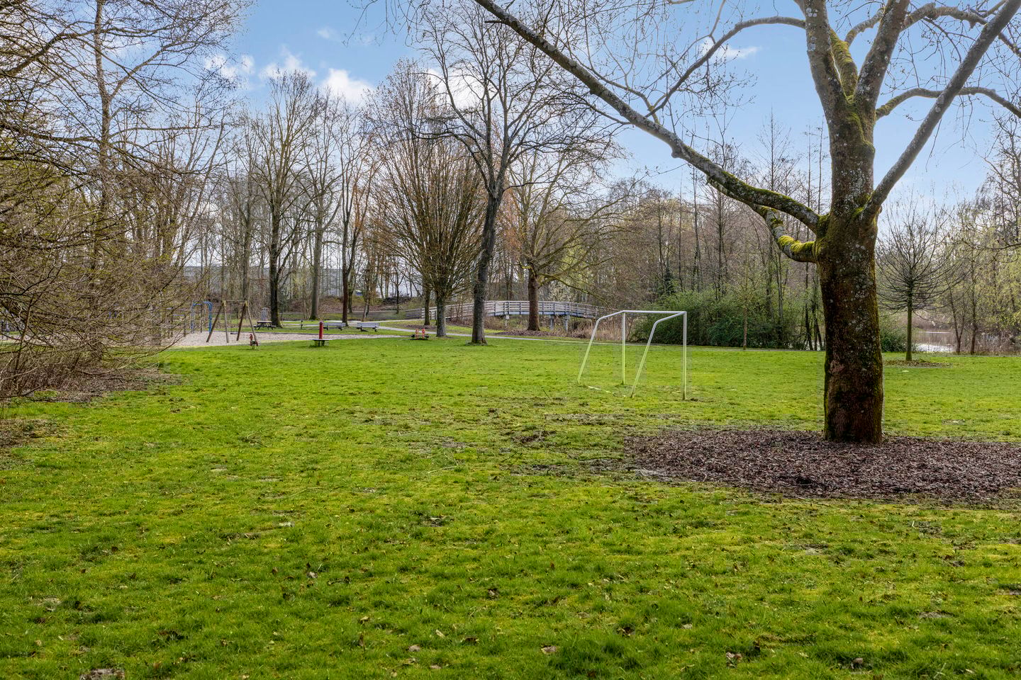 Foto 49 van Obrechtstraat 14