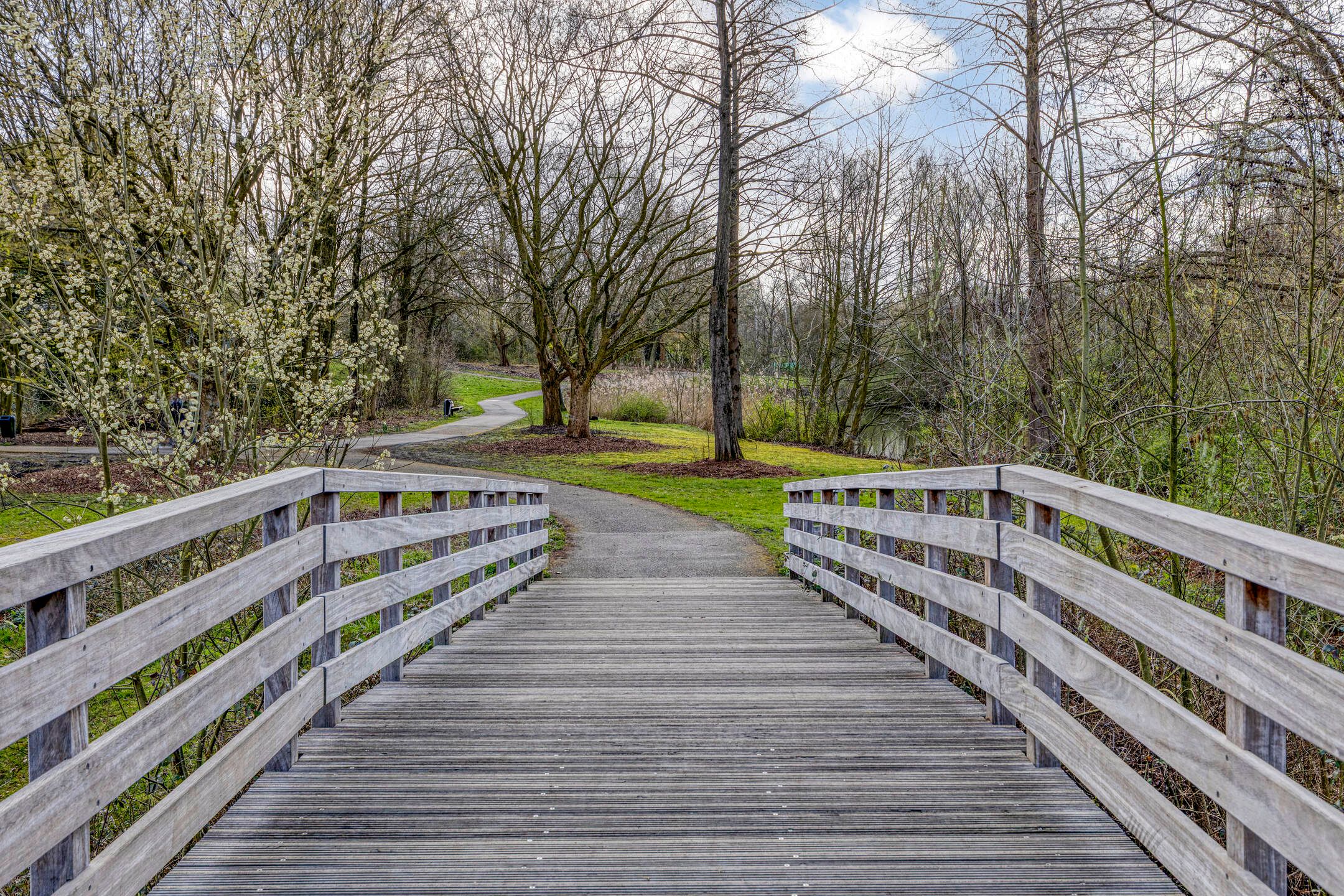 Foto 51 van Obrechtstraat 14