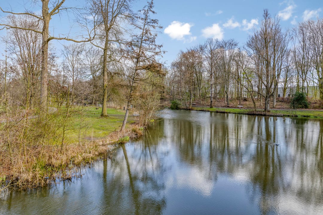 Foto 52 van Obrechtstraat 14