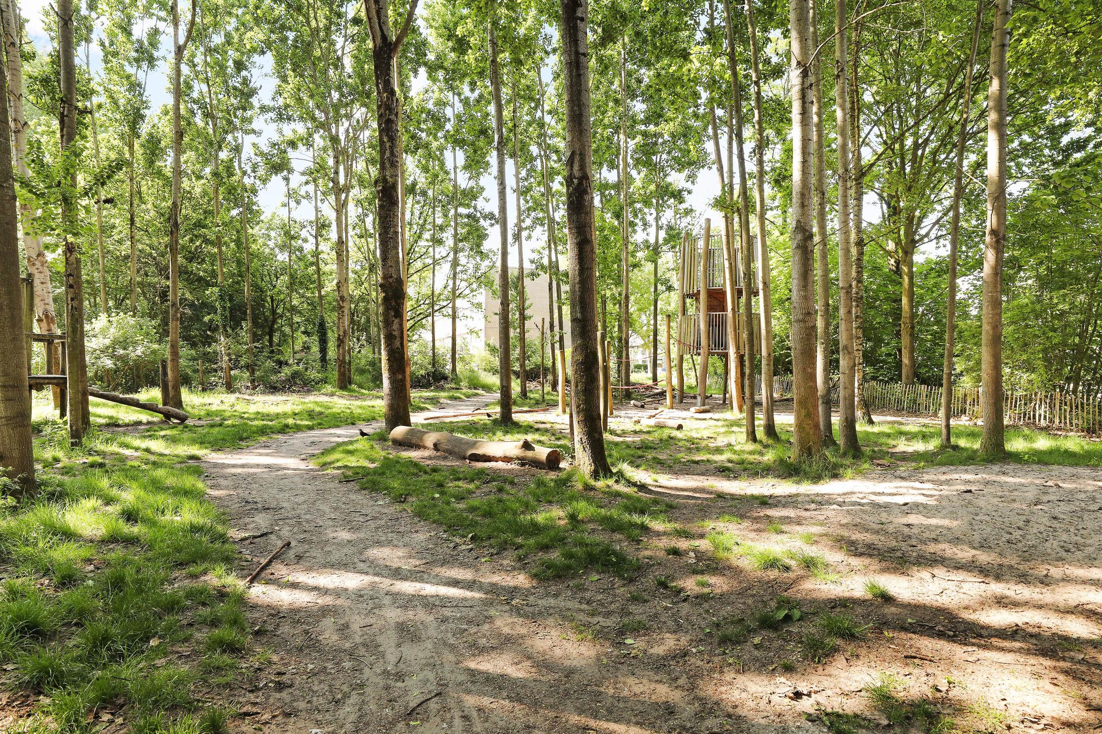 Foto 21 van Rietzangerstraat 65