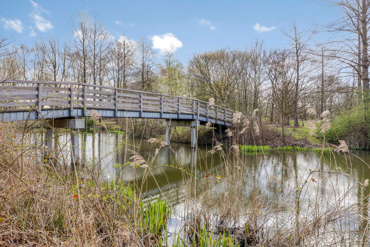 Foto 50 van Obrechtstraat 14