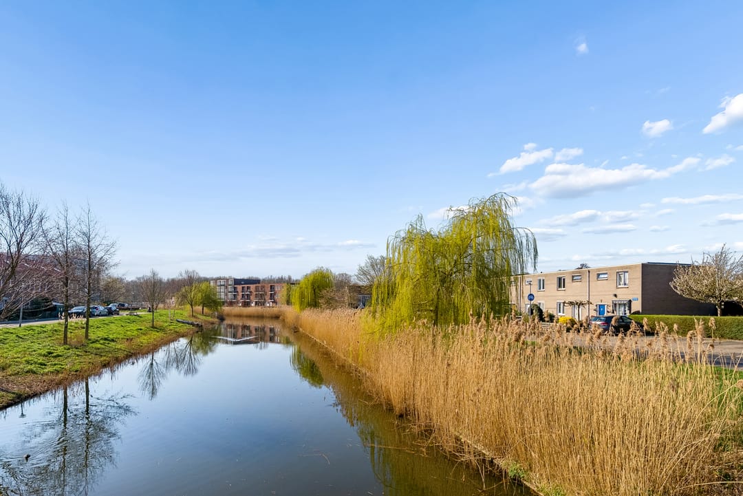 Foto 46 van Basilicumweg 88