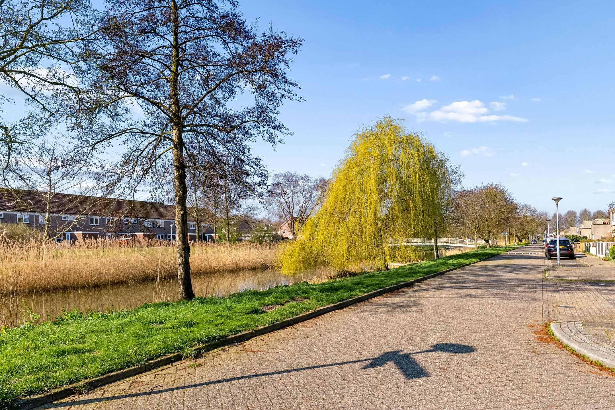 Foto 48 van Basilicumweg 88