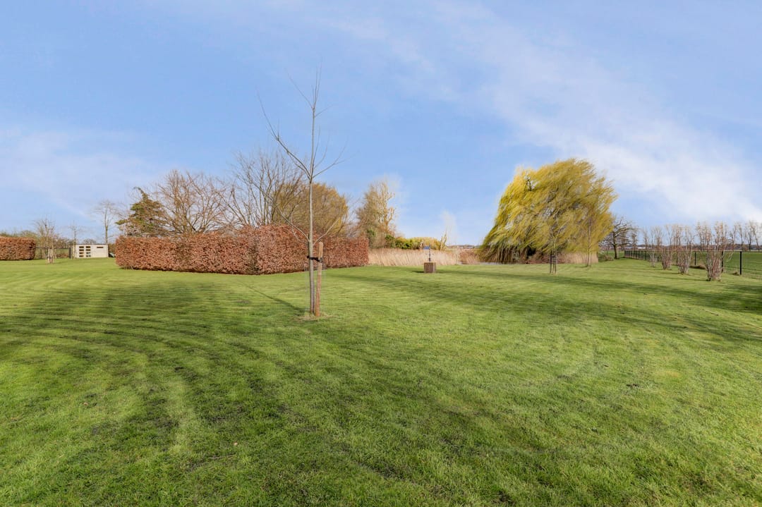 Photo 73 of Korte Striep 3