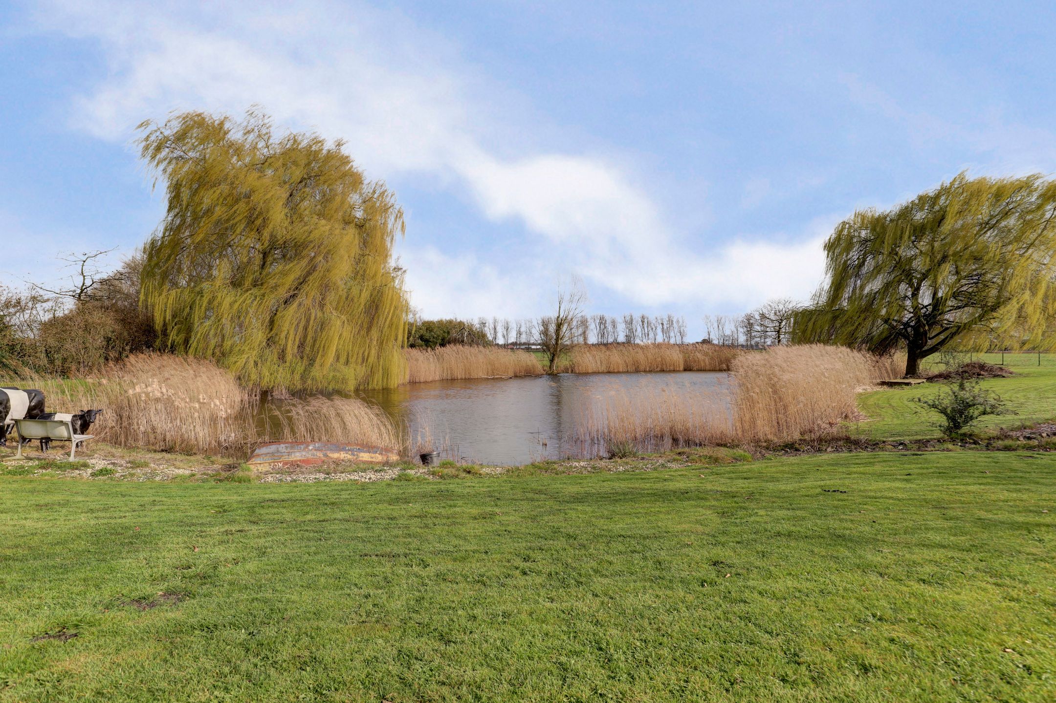 Photo 75 of Korte Striep 3