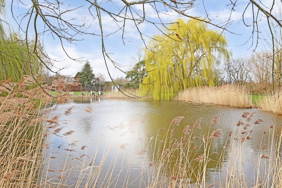 Photo 76 of Korte Striep 3