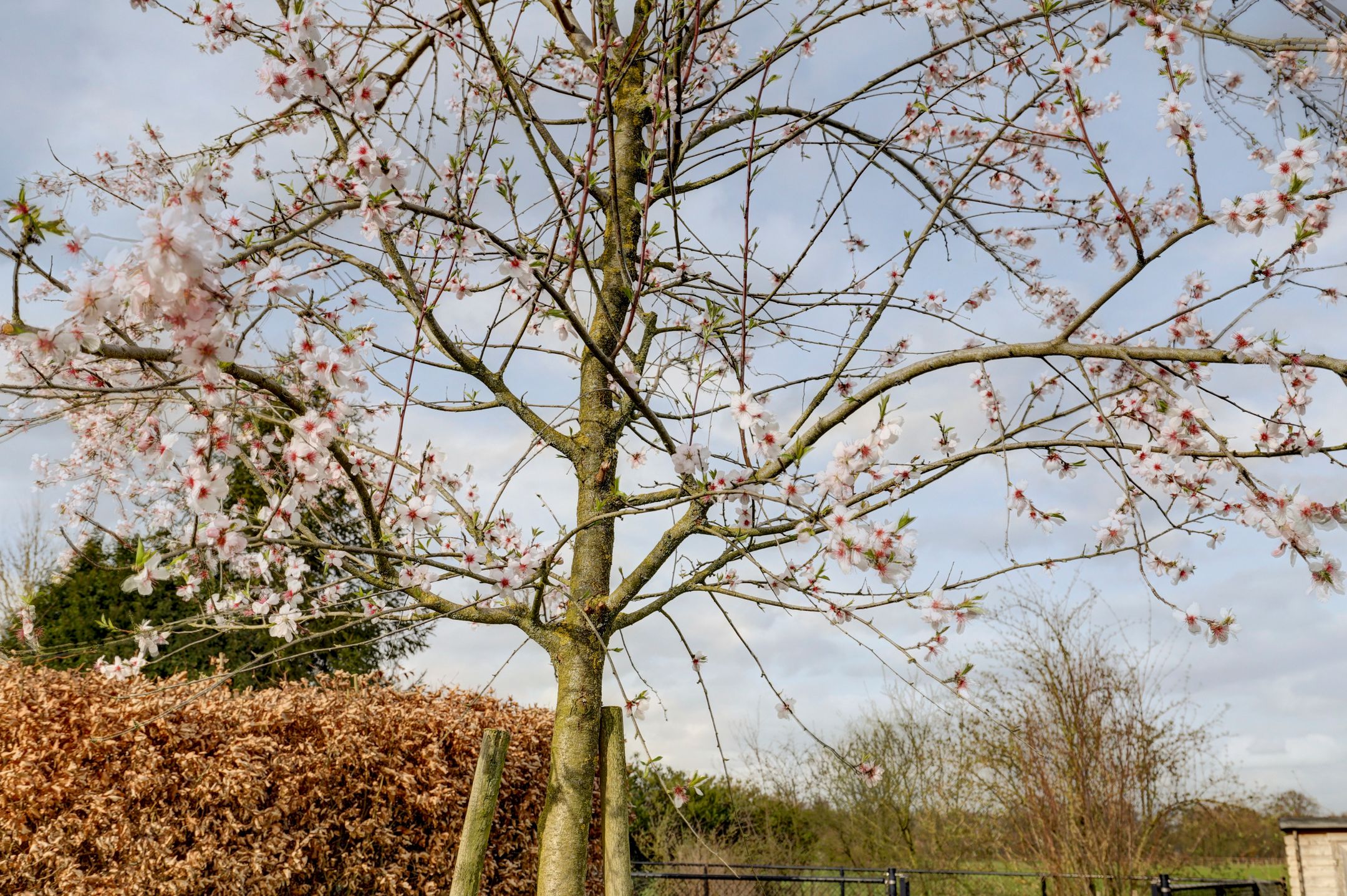 Photo 78 of Korte Striep 3