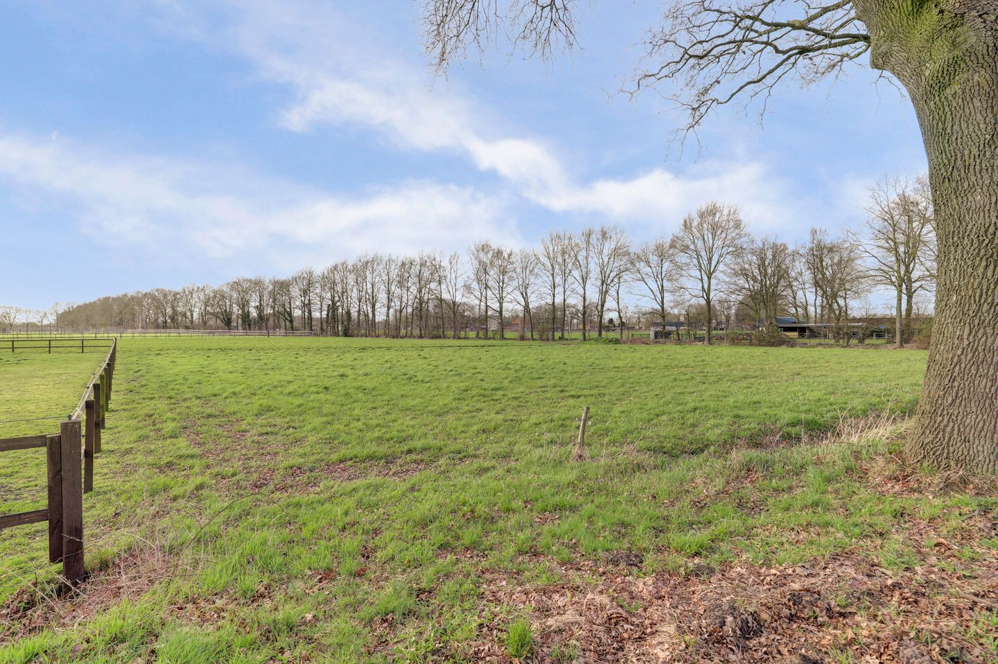 Photo 80 of Korte Striep 3