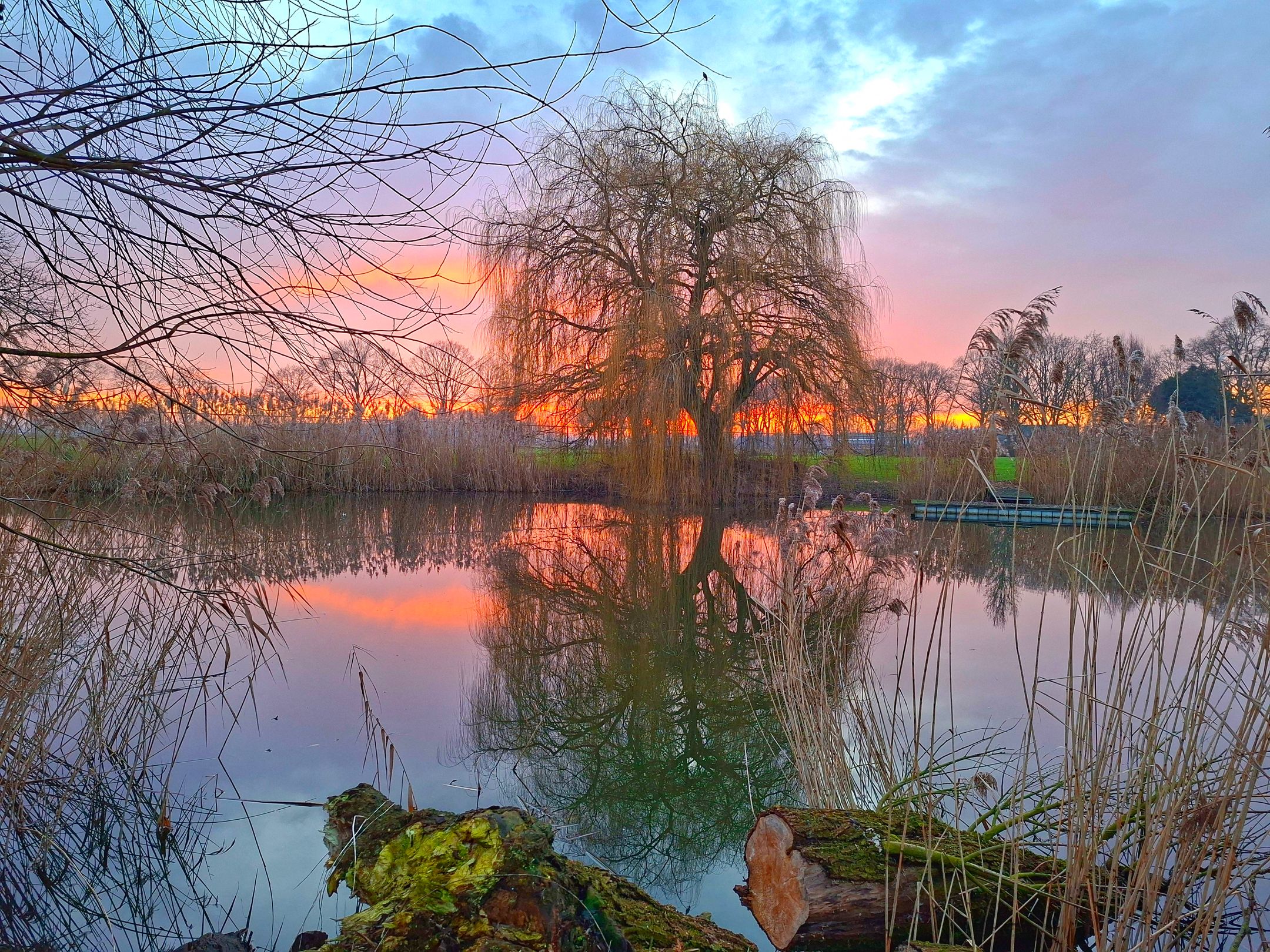 Photo 84 of Korte Striep 3