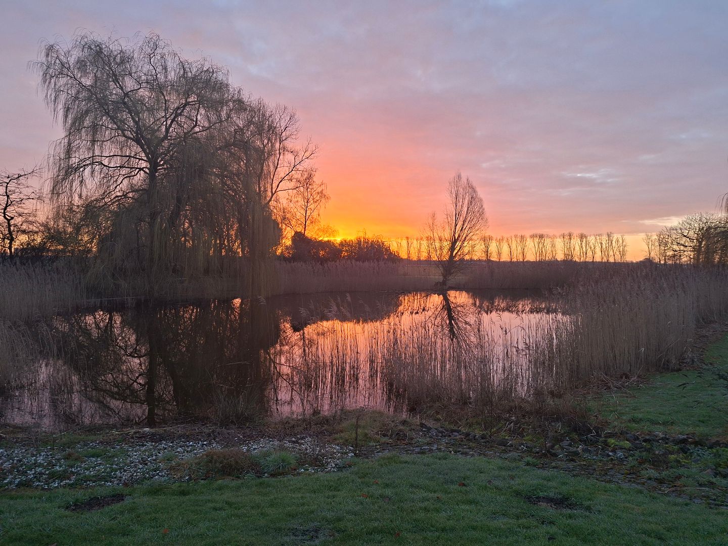 Photo 85 of Korte Striep 3