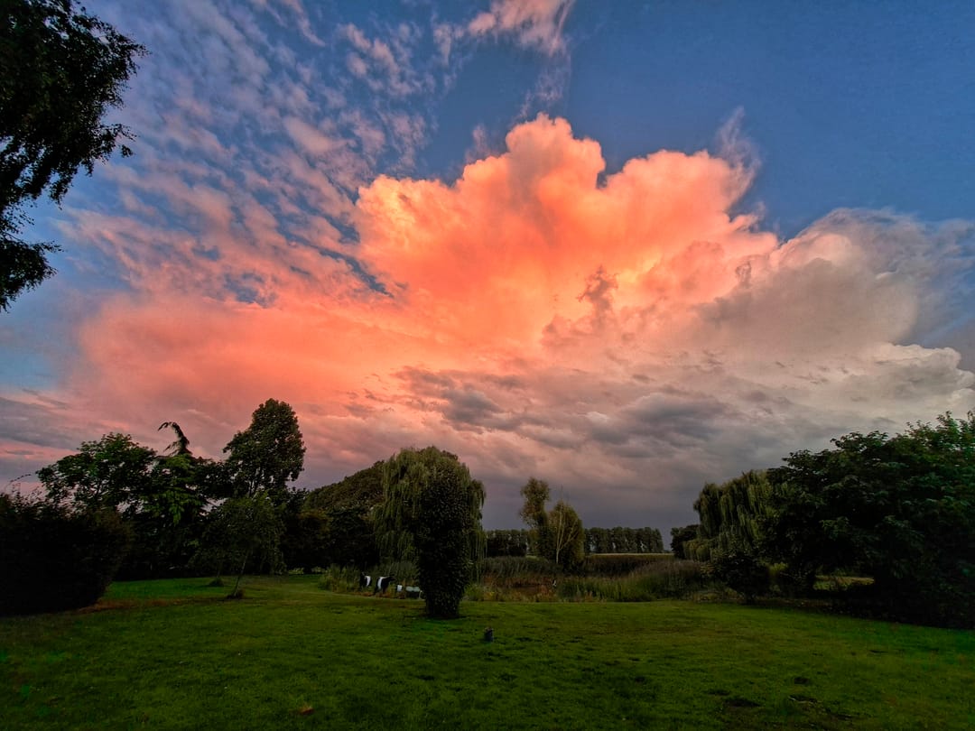 Photo 86 of Korte Striep 3