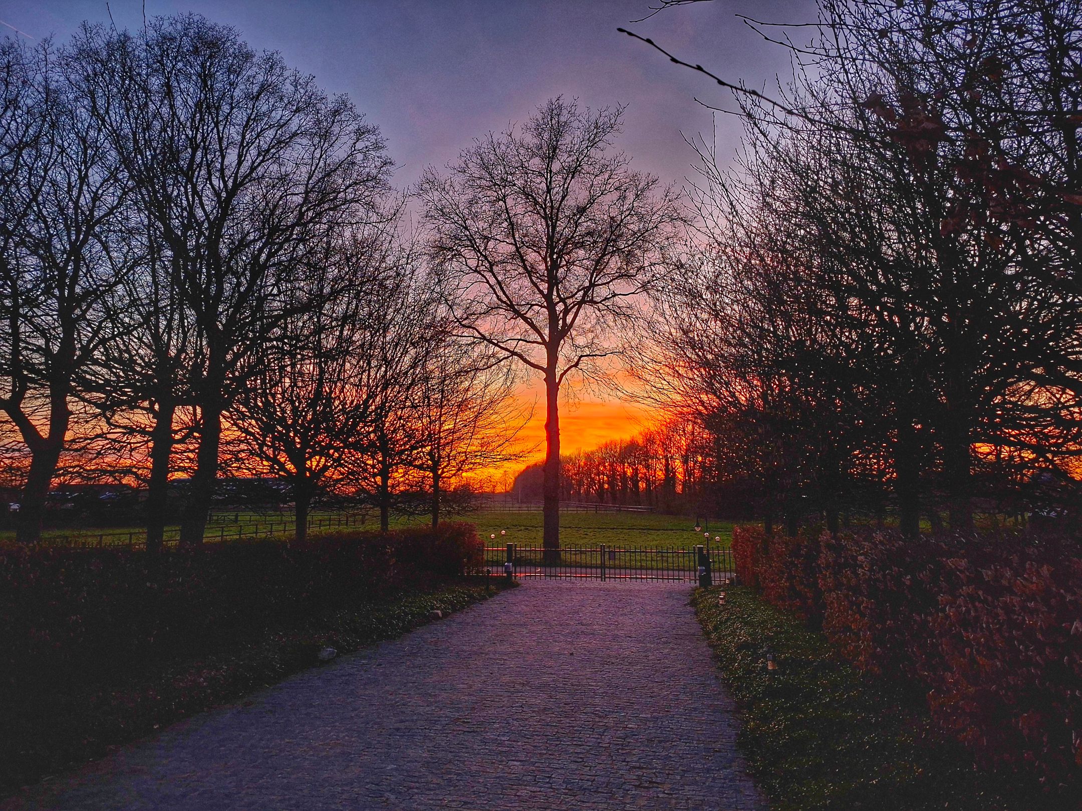 Photo 87 of Korte Striep 3