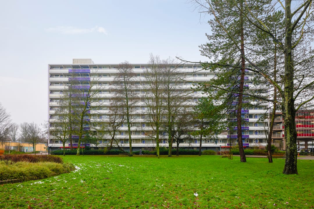 Foto 2 van Tjasker 4