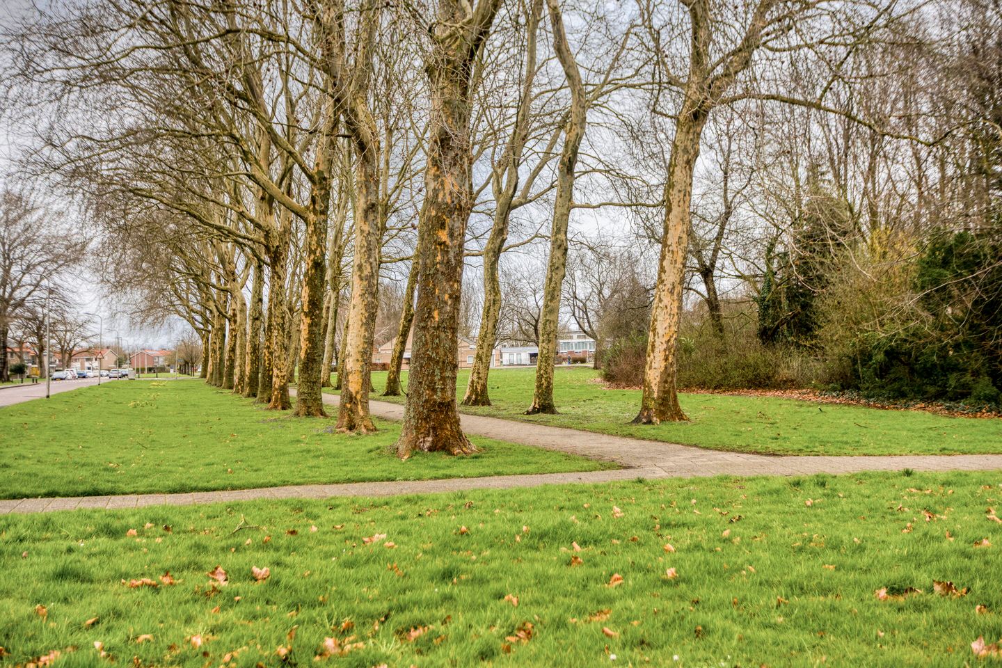 Foto 59 van De Kaapstander 60