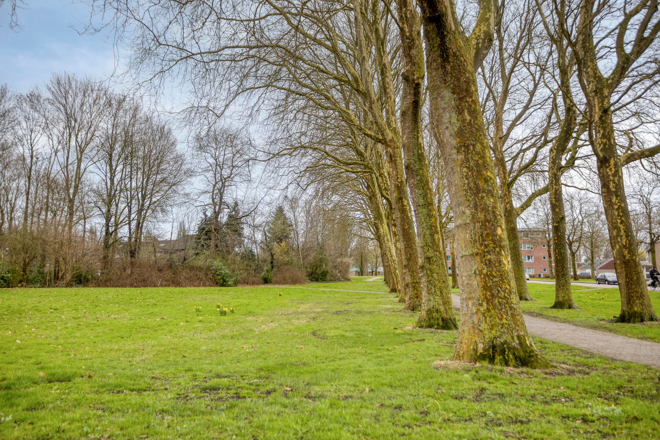 Foto 60 van De Kaapstander 60