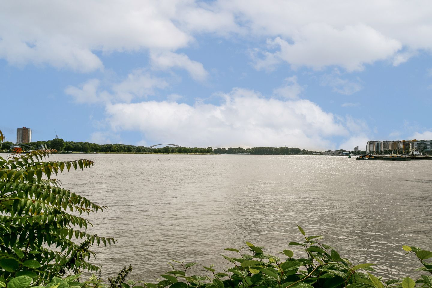 Photo 19 of Rosestraat 1161