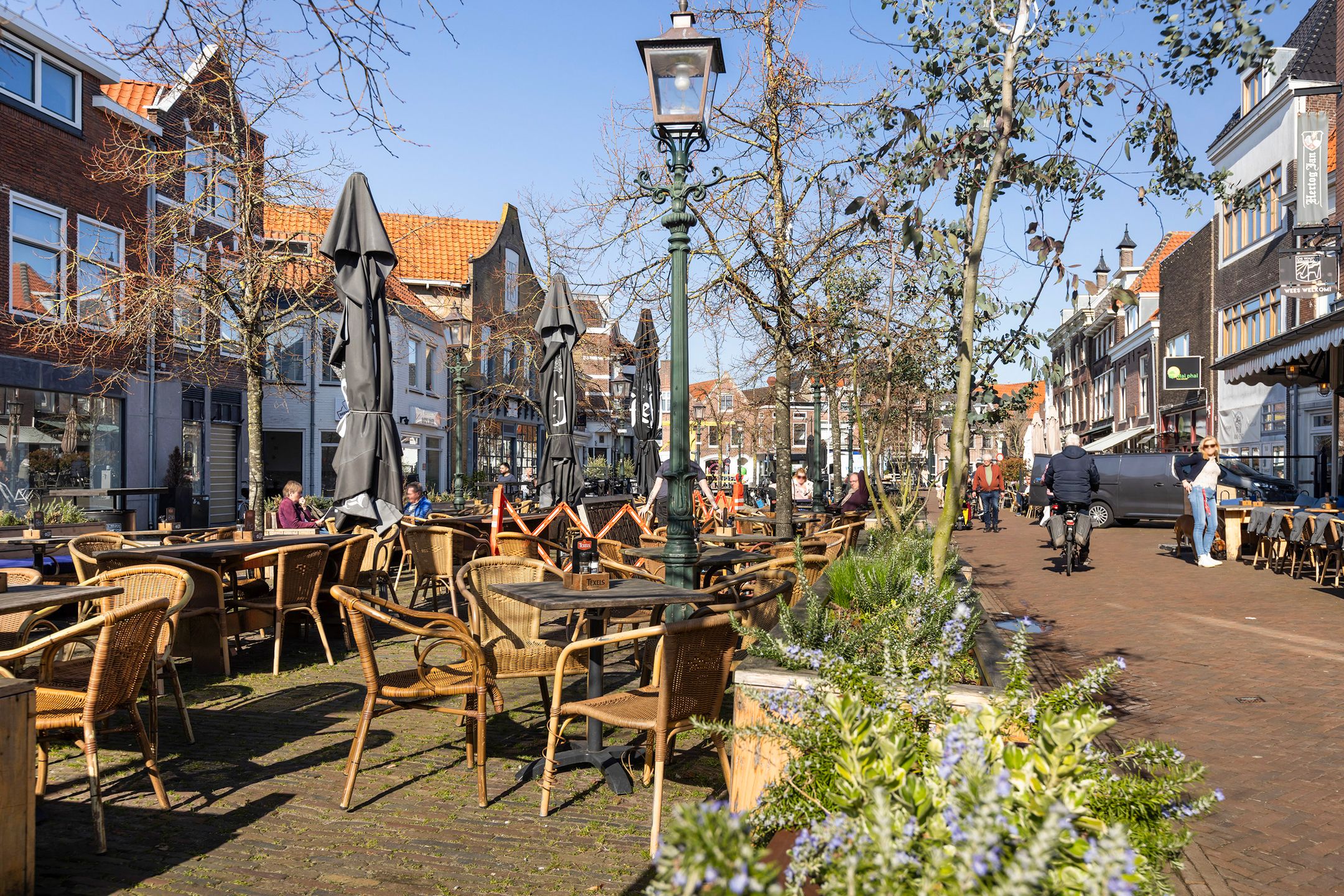 Photo 54 of Fenacoliuslaan 24