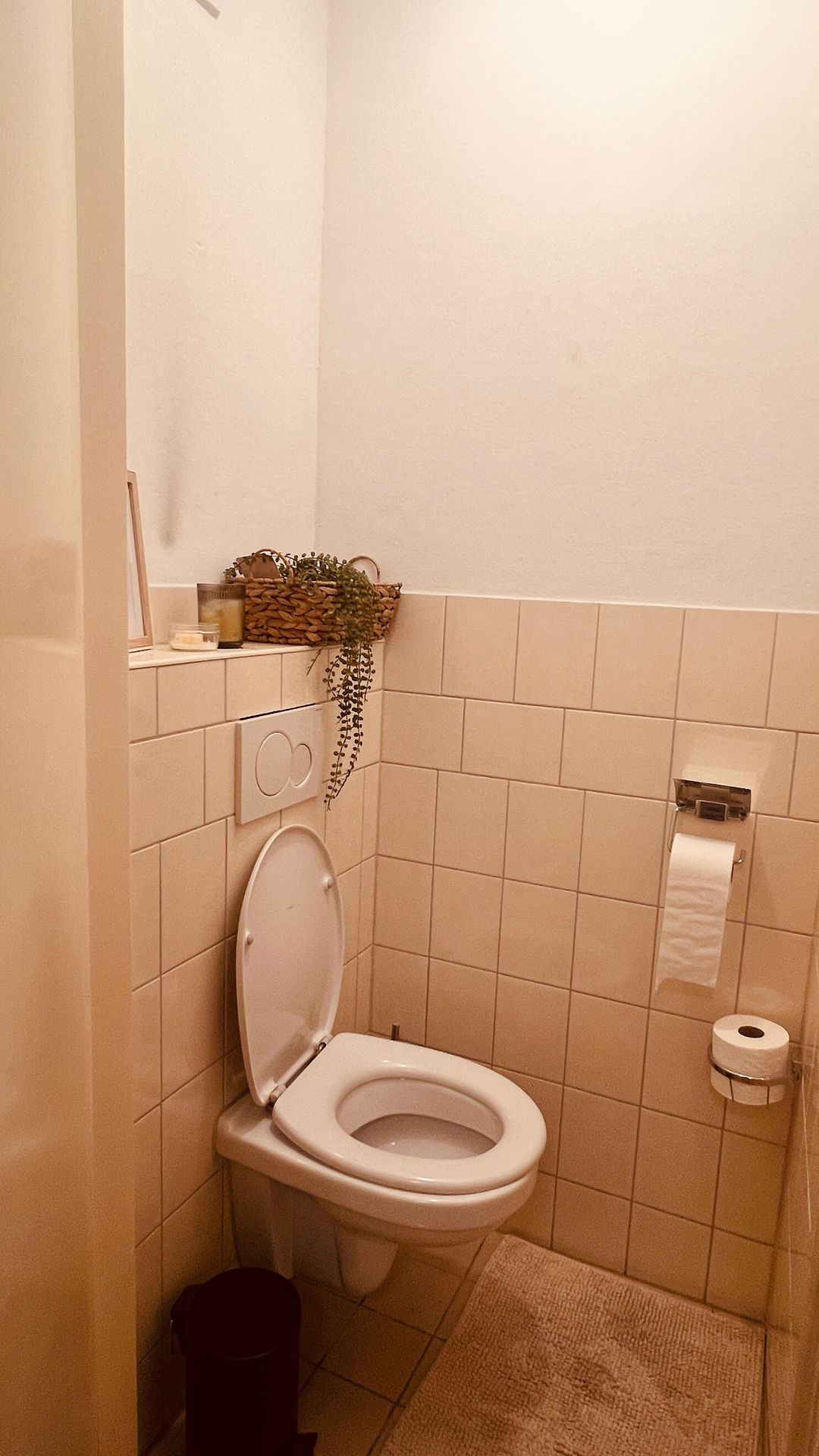 Foto 13 van President Rooseveltlaan 144