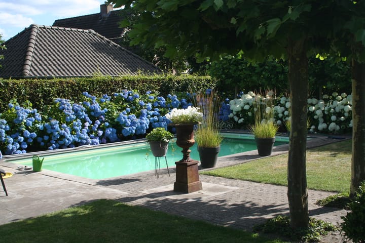 Foto 4 van Voldersakker 5