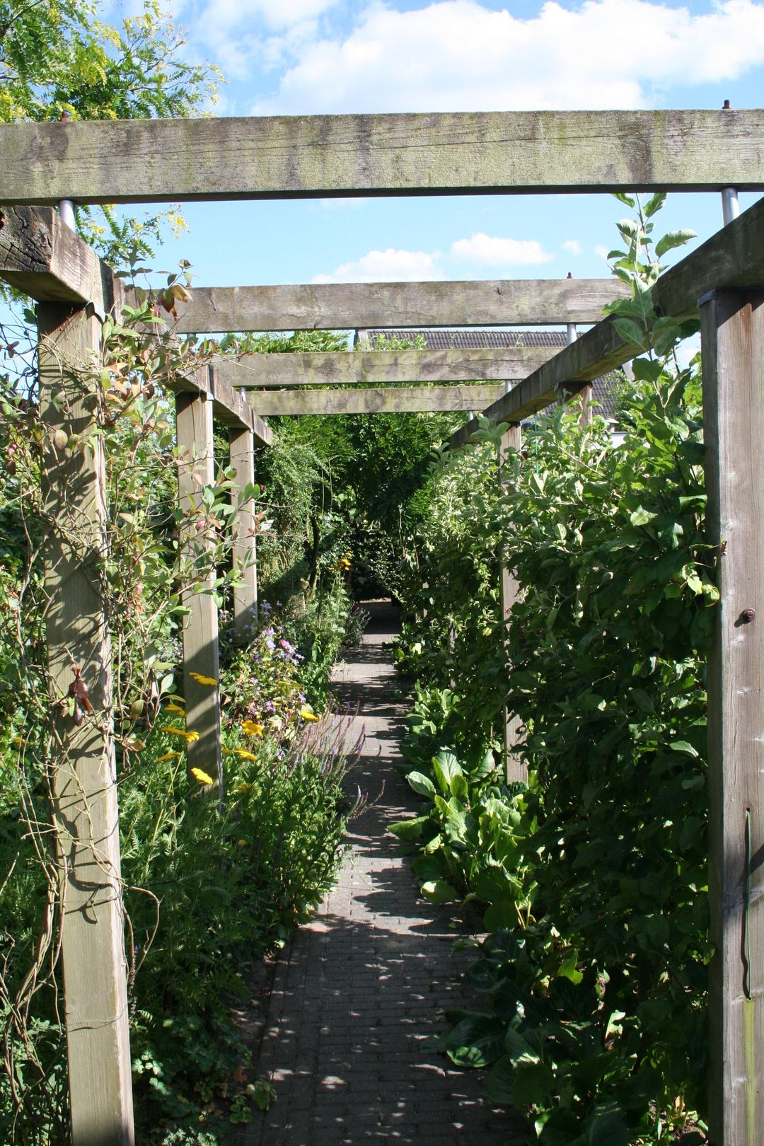 Photo 56 of Voldersakker 5