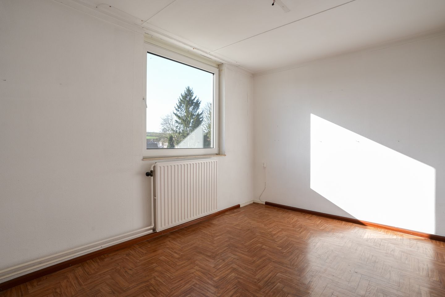 Foto 14 van Mesweg 40