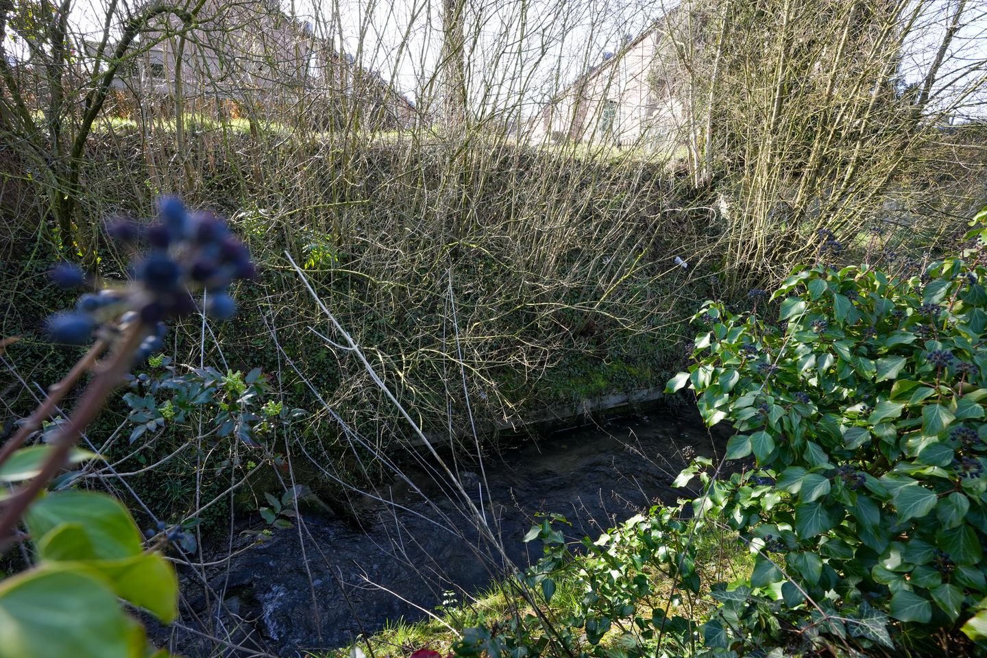 Foto 25 van Mesweg 40