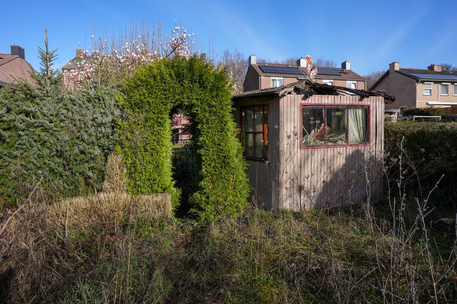 Foto 27 van Mesweg 40